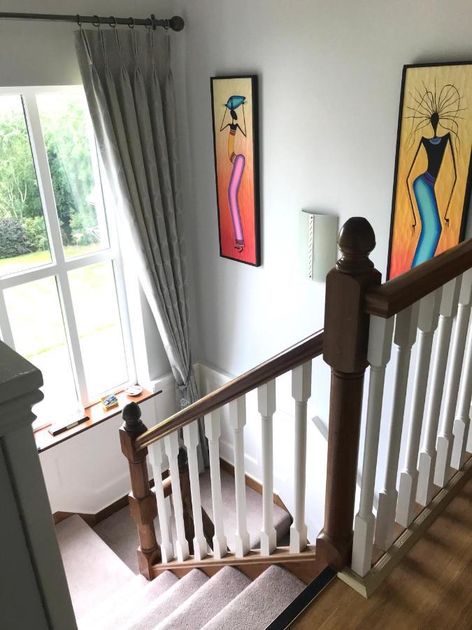Grove Lodge B&B Монахан Екстериор снимка